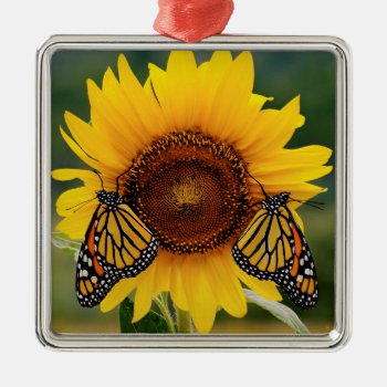 Monarch Butterfies On Sunflower Metal Ornament by birdsandblooms at Zazzle