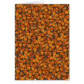 Monarch butterflies (Front)