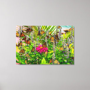Monarch Butterflies 36 x 24 Stretched Canvas Print