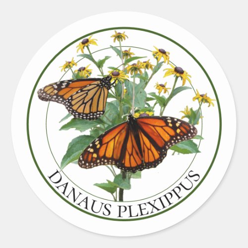 Monarch Butterflies and Black Eyed Susan Rudbeckia Classic Round Sticker