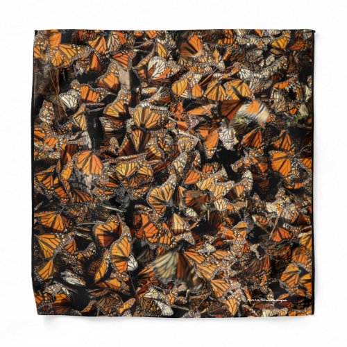 Monarch butterflies bandana