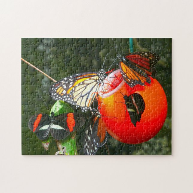 Monarch Butterflies Canada. Jigsaw Puzzle (Horizontal)