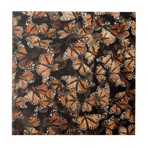 Monarch Butterflies Ceramic Tile