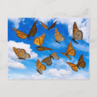 Monarch butterflies in the sky