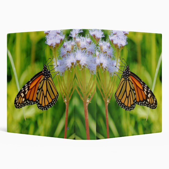 Monarch Butterflies on Binder Notebook (Background)