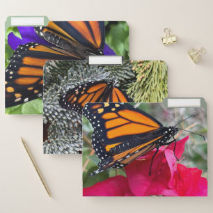 Monarch butterflies on flowers and greenery file folder