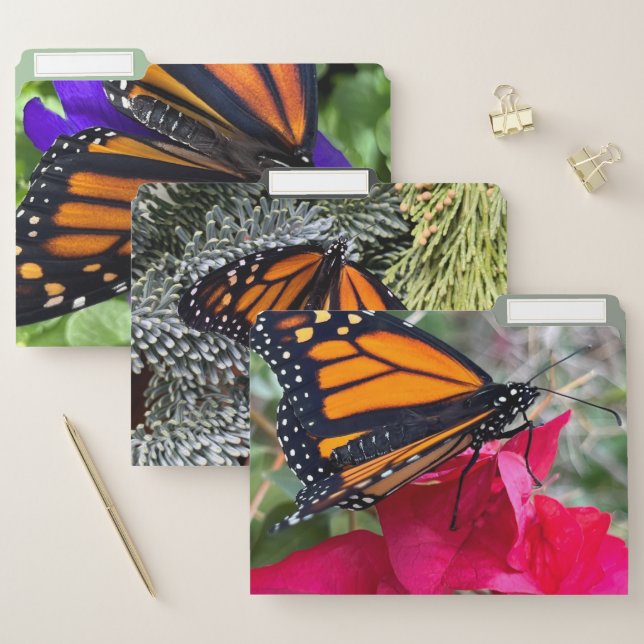Monarch butterflies on flowers and greenery file folder (Set)