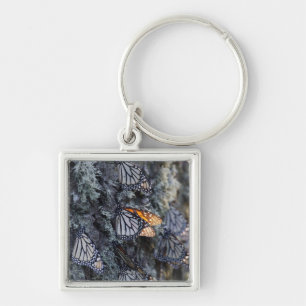 Monarch Butterflies on Pine Tree, Sierra Chincua 2 Keychain