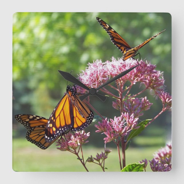 Monarch Butterflies on Purple Flowers Wall Clock (Front)