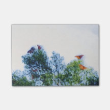 Monarch Butterflies