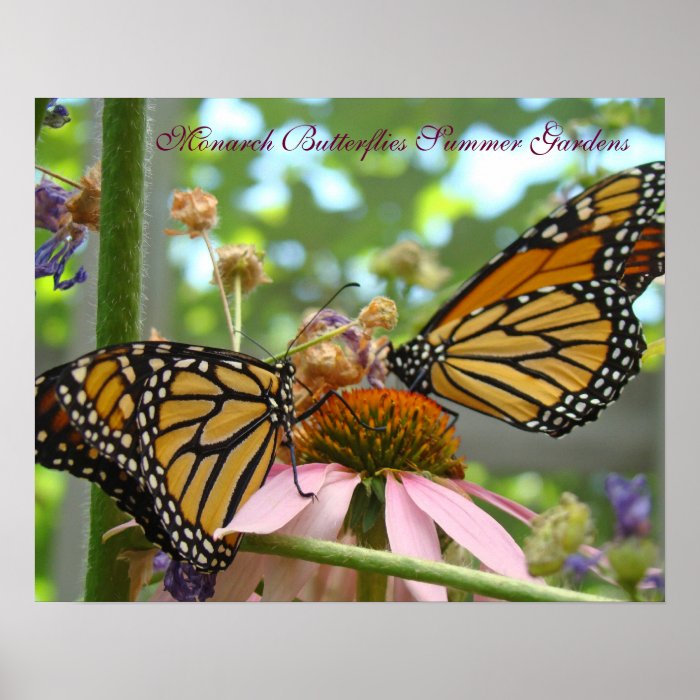 Monarch Butterflies Summer Gardens series prints Print
