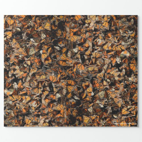 Monarch butterflies wrapping paper