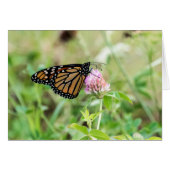 Monarch Butterfly (Front Horizontal)