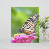 Monarch Butterfly (Standing Front)