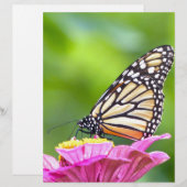 Monarch Butterfly (Front/Back)