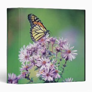 Monarch Butterfly 3 Ring Binder