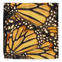 Monarch Butterfly Abstract