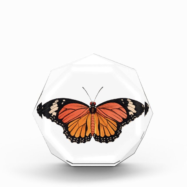 Monarch Butterfly Acrylic Octagon Award (Front)