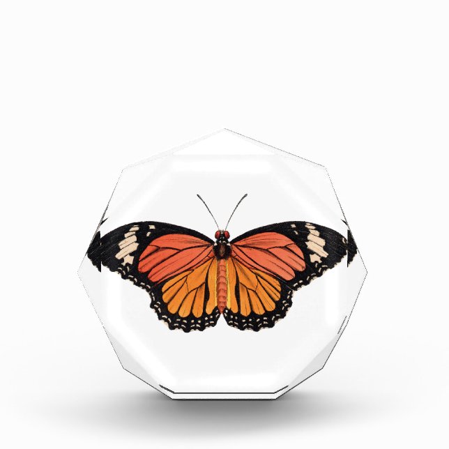 Monarch Butterfly Acrylic Octagon Award (Front)
