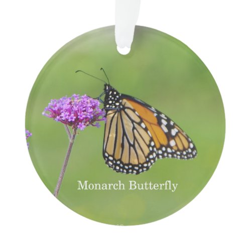 Monarch Butterfly acrylic ornament