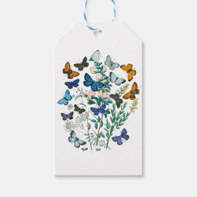 Monarch Butterfly - Aesthetic Butterflies Gift Tags (Front)