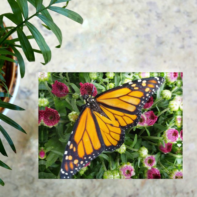 Monarch Butterfly among Flowers Paperweight (Creator Uploaded)