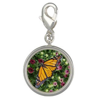 Monarch Butterfly among Wildflowers