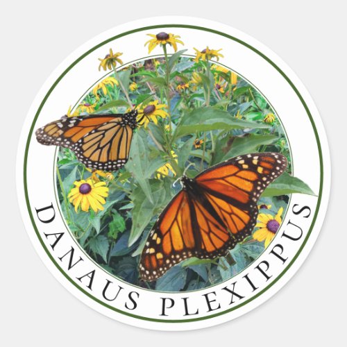 Monarch Butterfly and Black Eyed Susan Rudbeckia Classic Round Sticker
