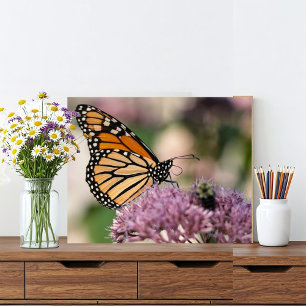 Monarch Butterfly and Bumblebee on Wildflower Photo Print