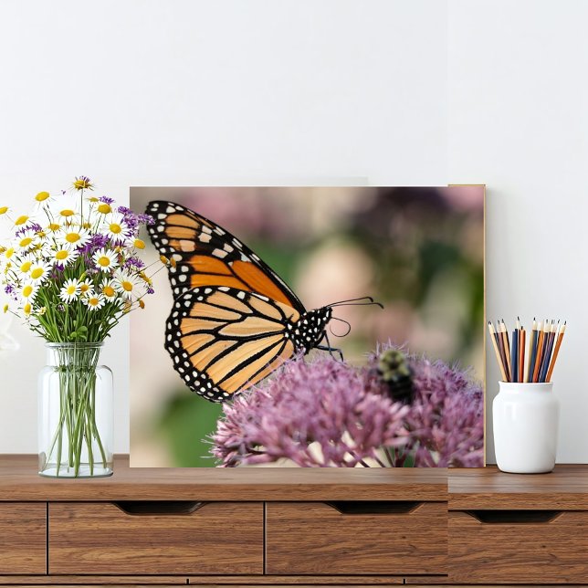 Monarch Butterfly and Bumblebee on Wildflower Photo Print (A monarch butterfly is the star of this rustic scene with a pink flower and a bumble bee friend.)