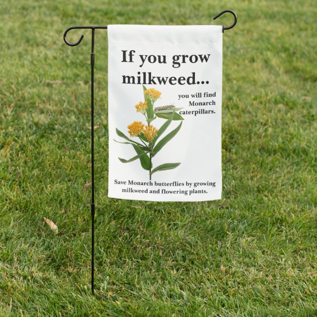 Monarch butterfly and caterpillar flag (In SItu)