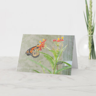Monarch Butterfly and Caterpillar Greeting Card