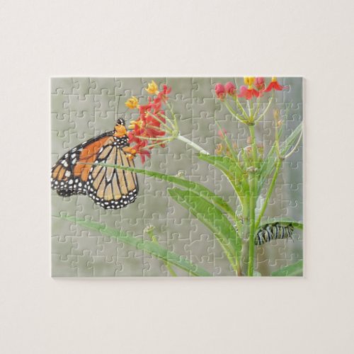 Monarch Butterfly and Caterpillar Jigsaw Puzzle