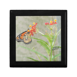 Monarch Butterfly and Caterpillar Keepsake Box