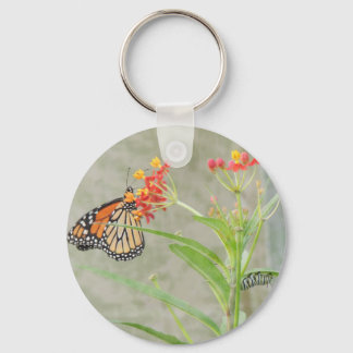 Monarch Butterfly and Caterpillar Keychain