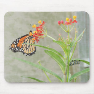 Monarch Butterfly and Caterpillar Mouse Pad