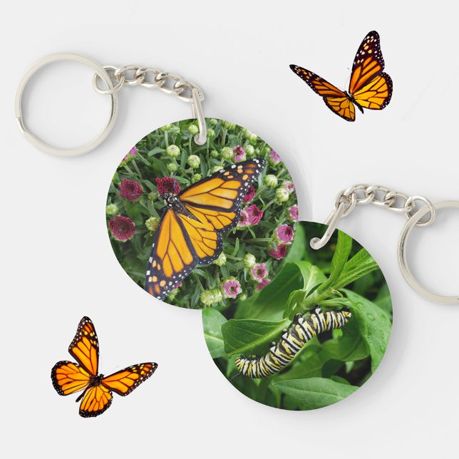 Monarch Butterfly and Caterpillar Photographic Keychain (Creator Uploaded)