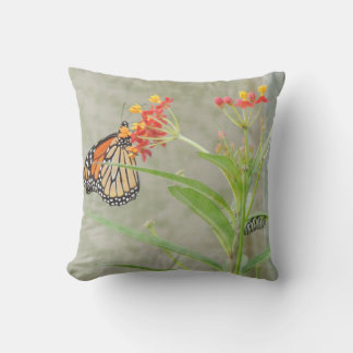 Monarch Butterfly and Caterpillar Pillow
