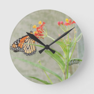 Monarch Butterfly and Caterpillar Round Clock