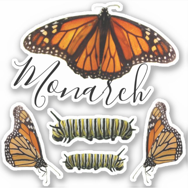 Monarch Butterfly and Caterpillar Set Sticker (Front)