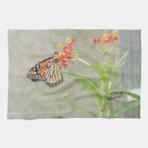 Monarch Butterfly and Caterpillar Towel