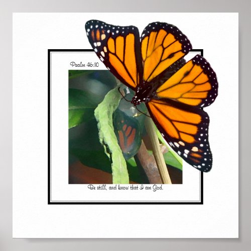 Monarch Butterfly and Chrysalis Art Poster