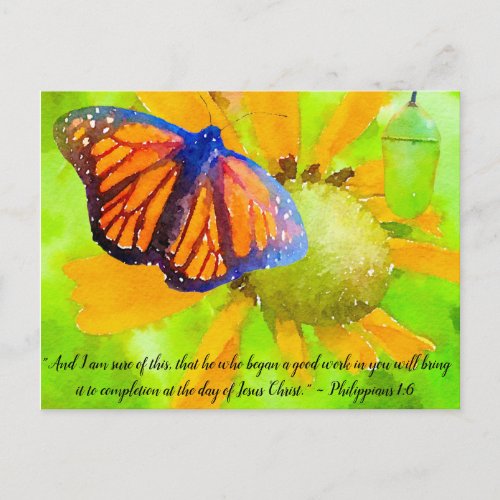 Monarch Butterfly and Chrysalis Philippians 16 Postcard