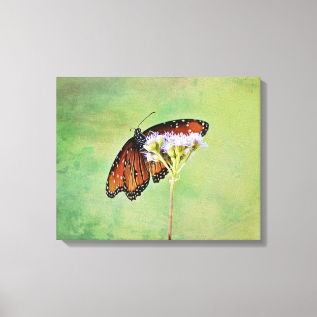 Monarch Butterfly and Flowers Canvas Art Print (Front)