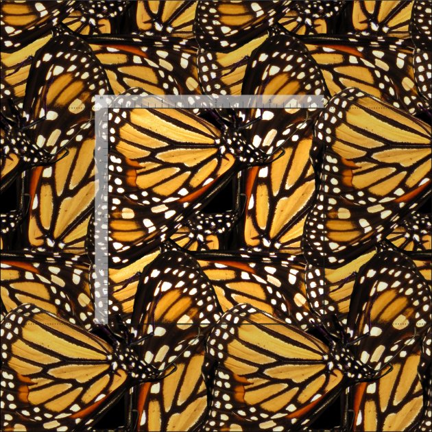 Butterfly Monarach Metallic Gold Thread Brown Butterflies Cotton Fabric BTHY 