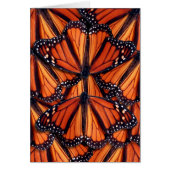 monarch butterfly art (Front)