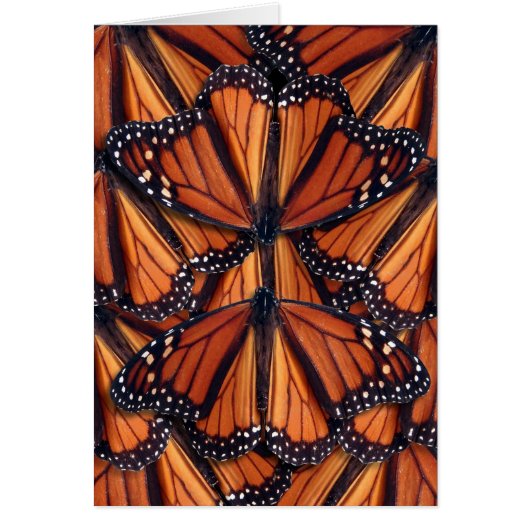 monarch butterfly art cards (Front)