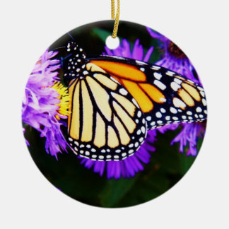 Monarch Butterfly, Aster Ornament