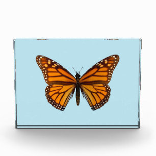 Monarch Butterfly Award