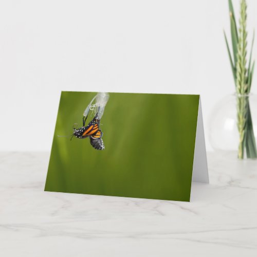 Monarch Butterfly Being Born Greeting Card